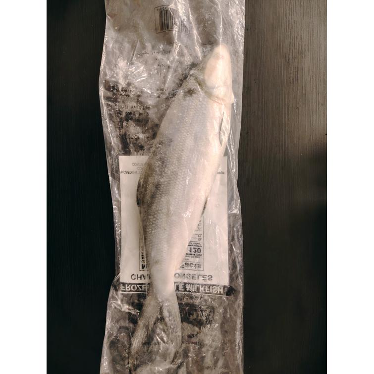 Whole milkfish 800g. FISHERFARM