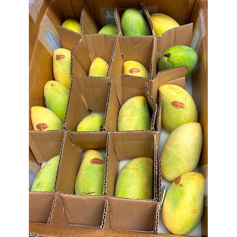 Philippine mangoes (Zambales) 1kg.
