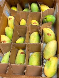 Philippine mangoes (Zambales) 1kg.