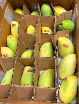 Philippine mangoes (Zambales) 1kg.
